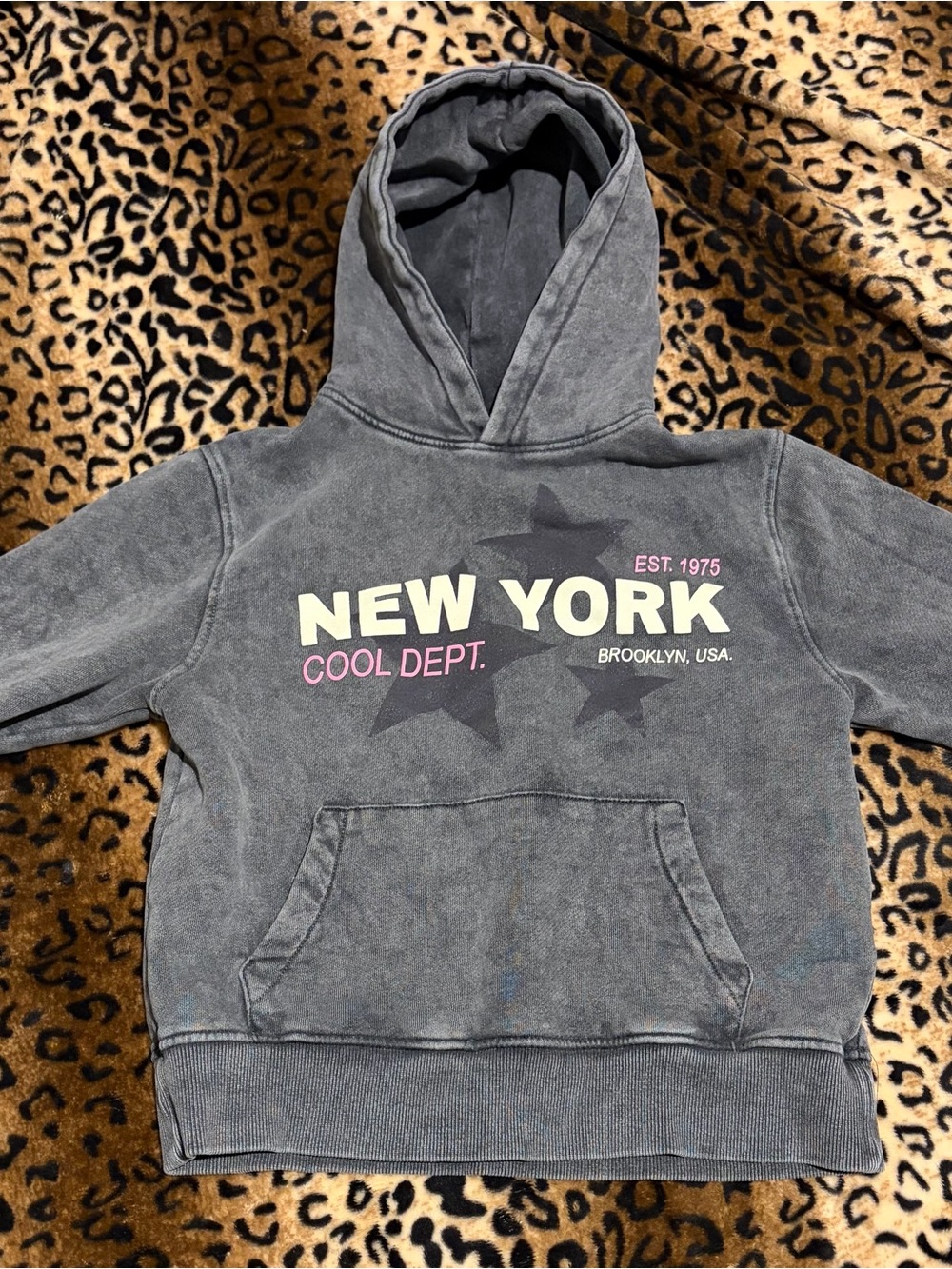 Kids Zara Gray New York Hoodie with Pink Accents